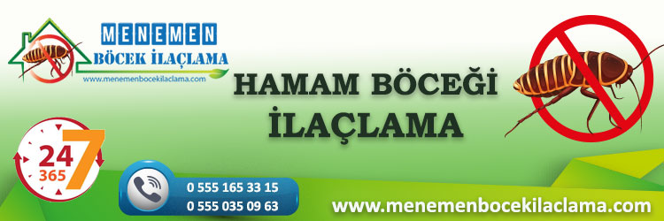 Hamam Böceği İlaçlama
