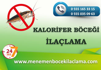 Kalorifer Böceği İlaçlama