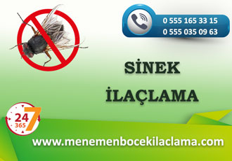 Sinek İlaçlama
