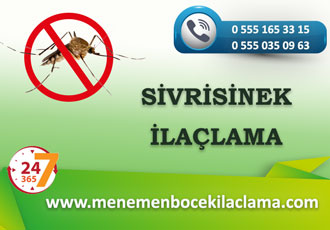 Sivrisinek İlaçlama