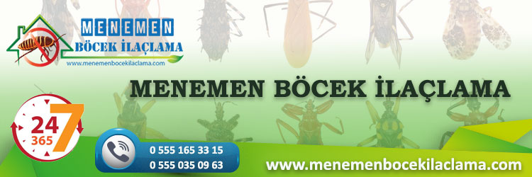 Menemen Böcek İlaçlama