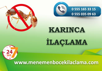 Karınca İlaçlama