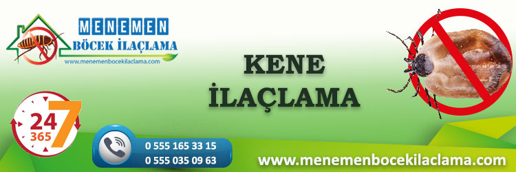 Kene İlaçlama