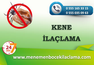 Kene İlaçlama