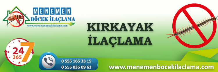 Kırkayak İlaçlama