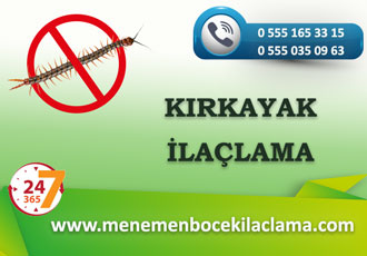 Kırkayak İlaçlama