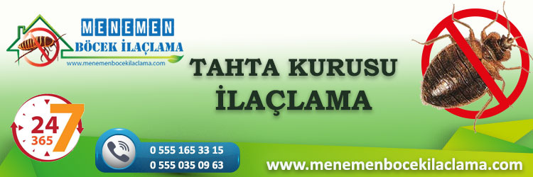 Tahta Kurusu İlaçlama