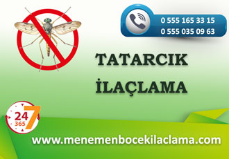 Tatarcık Böceği