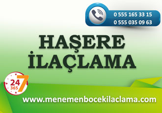 Haşere İlaçlama