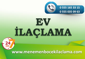 Ev İlaçlama